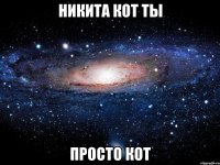 никита кот ты просто кот