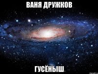 ваня дружков гусёныш