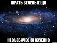 жрать зеленые щи невъебически охуенно