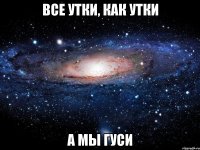 все утки, как утки а мы гуси