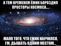 а тем временем ёжик бороздил просторы космоса.... мало того, что ежик научился, гм, дышать одним местом...