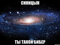 синицын ты такой бибер