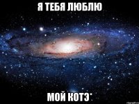 я тебя люблю мой котэ*