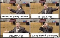 вышел на улицу там снег и там снег везде снег да ну нахуй эту весну