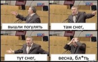 вышли погулять там снег, тут снег, весна, бл*ть