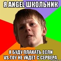 я angel школьник я буду плакать если vs.toy не уйдет с сервера