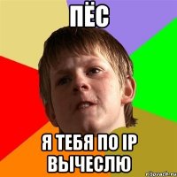 пёс я тебя по ip вычеслю