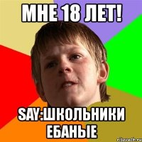 мне 18 лет! say:школьники ебаные