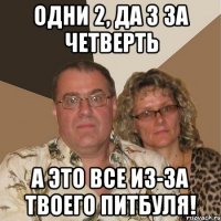 одни 2, да 3 за четверть а это все из-за твоего питбуля!