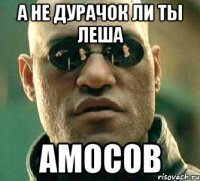 а не дурачок ли ты леша амосов