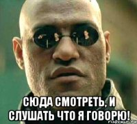  сюда смотреть, и слушать что я говорю!