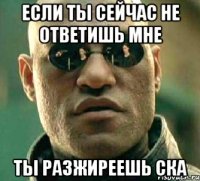 если ты сейчас не ответишь мне ты разжиреешь ска