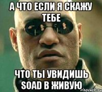 а что если я скажу тебе что ты увидишь soad в живую