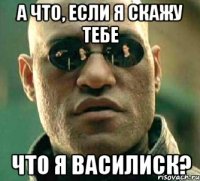 а что, если я скажу тебе что я василиск?