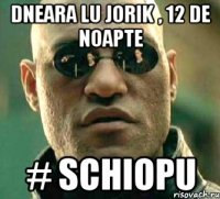 dneara lu jorik , 12 de noapte # schiopu