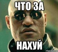 что за нахуй