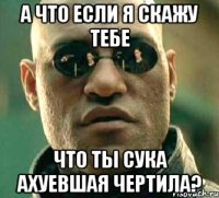 а что если я скажу тебе что ты сука ахуевшая чертила?