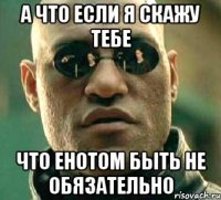 а что если я скажу тебе что енотом быть не обязательно