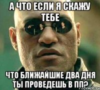 а что если я скажу тебе что ближайшие два дня ты проведешь в пп?