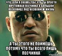 что если я скажу тебе что ты просто ничтожная песчинка в большой песочнице под названием жизнь а ты этого не поймёшь потому что ты всего лишь песчинка