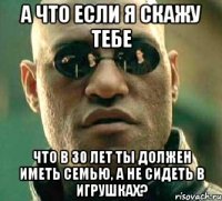 а что если я скажу тебе что в 30 лет ты должен иметь семью, а не сидеть в игрушках?