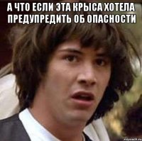 а что если эта крыса хотела предупредить об опасности 