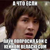 а что если паук попросил бой с кейном веласкесом