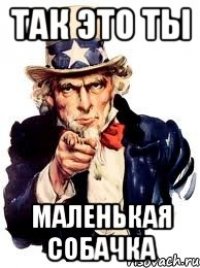 так это ты маленькая собачка