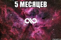 5 месяцев 