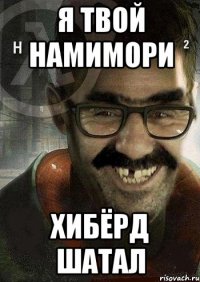 я твой намимори хибёрд шатал