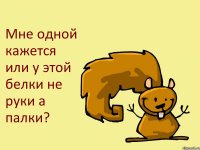 Мне одной кажется или у этой белки не руки а палки?