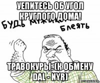 уепитесь об угол круглого дома! травокуры. (к обмену dal - nyr)