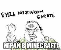  играй в minecraft!