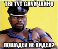 ты тут слуйчайно лошадей не видел?