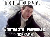 понимаешь друг... улитка это - ракушка с усиками