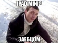 ipad mini? заебцом