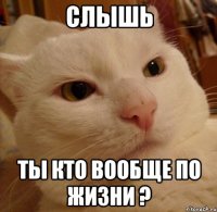 слышь ты кто вообще по жизни ?