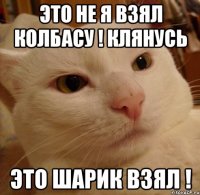 это не я взял колбасу ! клянусь это шарик взял !