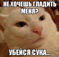 не хочешь гладить меня? убейся сука...