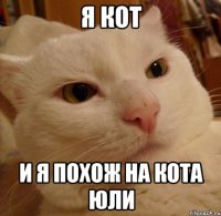 я кот и я похож на кота юли