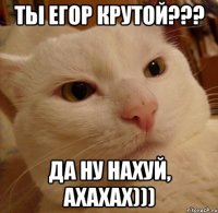 ты егор крутой??? да ну нахуй, ахахах)))