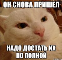 он снова пришел надо достать их по полной