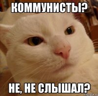 коммунисты? не, не слышал?