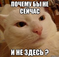 почему бы не сейчас и не здесь ?