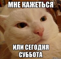 мне кажеться или сегодня суббота