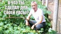 А что ты сделал для своей расы? 