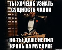 ты хочешь узнать сущность чайки но ты даже не пил кровь на мусорке