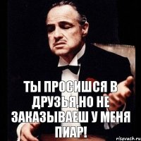 ТЫ ПРОСИШСЯ В ДРУЗЬЯ,НО НЕ ЗАКАЗЫВАЕШ У МЕНЯ ПИАР!