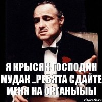 я крысяк господин Мудак ..ребята сдайте меня на органыыы