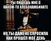 ты пишешь мне о каком-то хлебокамбинате но ты даже не спросила как прошёл моё день